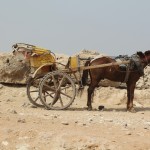 This is a travelling option for the pyramids, if you don't feel like riding a camel.