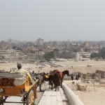 At the top of this hill you can see the whole city of Cairo ending where the desert begins.